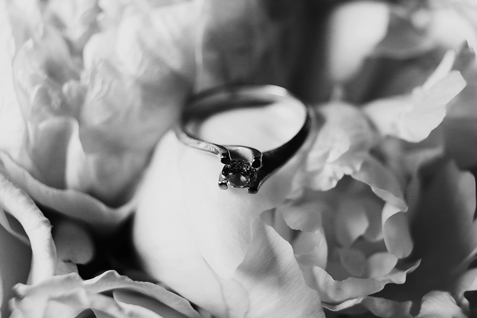 Wedding ring in black and white