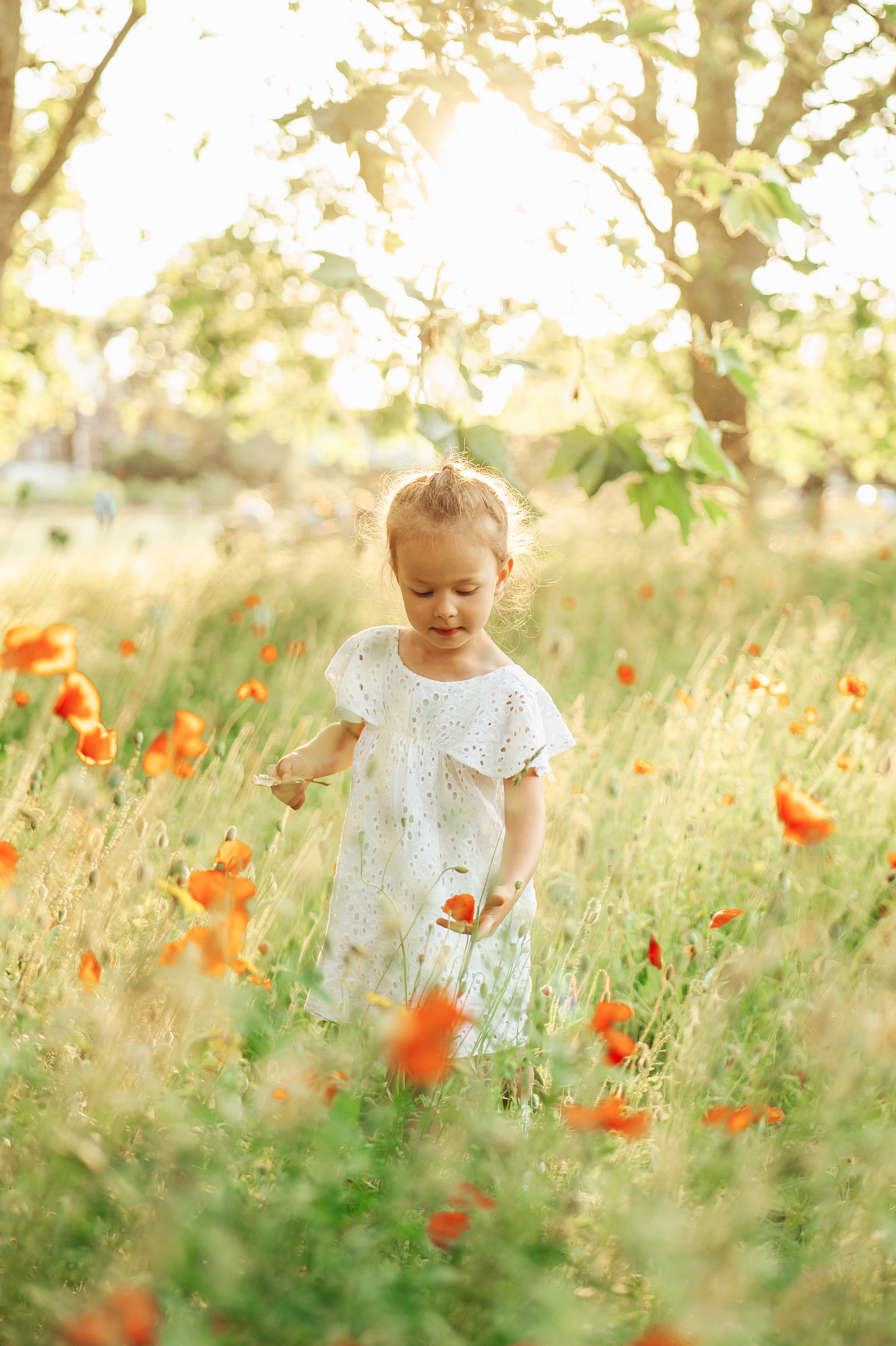 small girl photoshoot in flowers, sunset